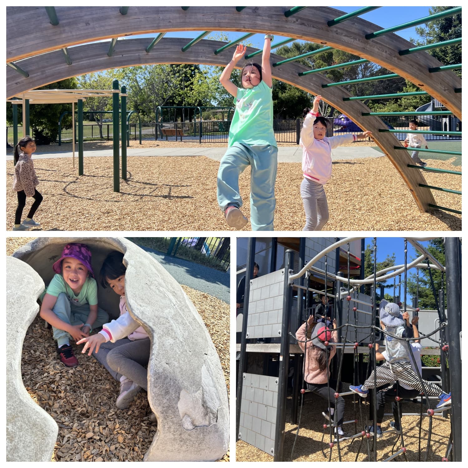 Summer Camp Week 2