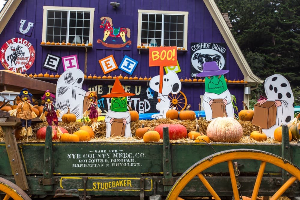 Lemos Farm pumpkin patch wagon display